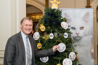 Cats Protection Xmas Reception